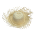 Straw Hat