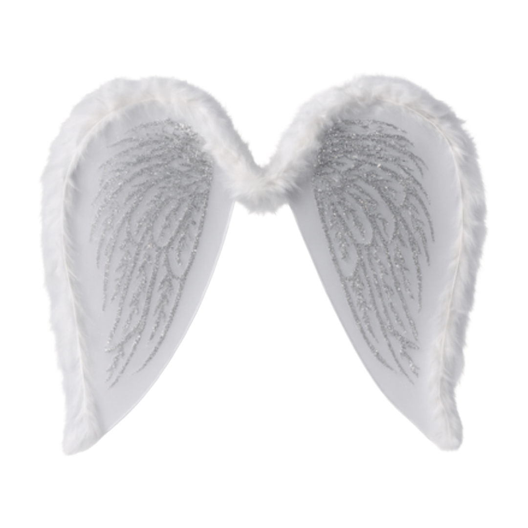 Christmas - Angel Wings 16” x 13.5”