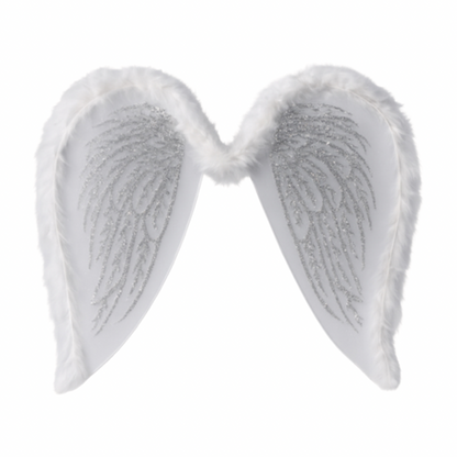 Christmas - Angel Wings 16” x 13.5”