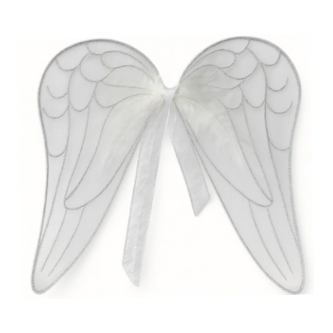 Christmas - Angel Wings 15.5” x 13”