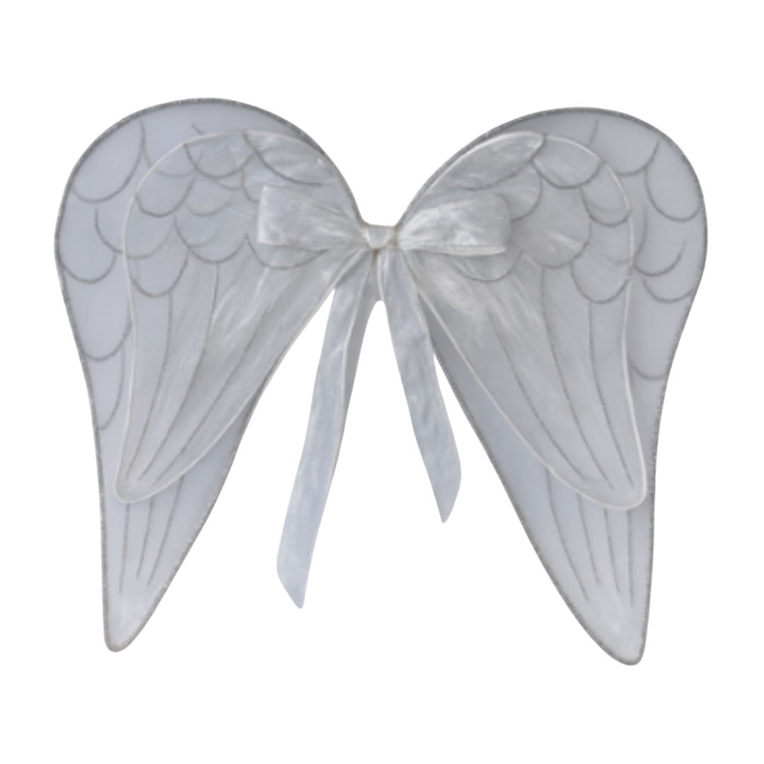 Christmas - Angel Wings 16.5” x 17”