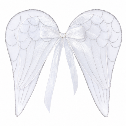 Christmas - Angel Wings 16.5” x 17”